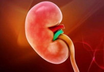紫癜性腎炎