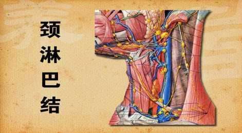 頸淋巴結結核