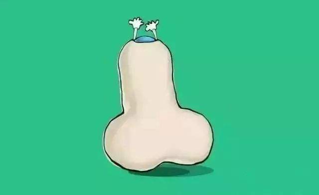 陰莖水腫