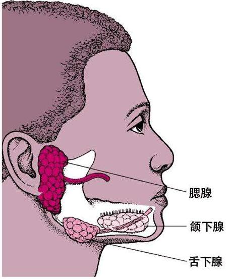 喉粘液囊腫
