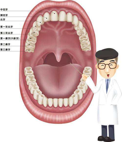 口腔修復