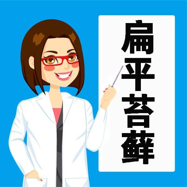 扁平苔蘚