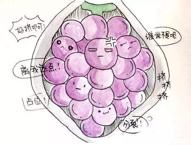 侵蝕性葡萄胎