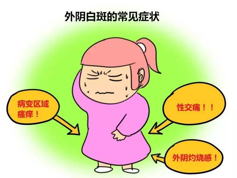 外陰白斑