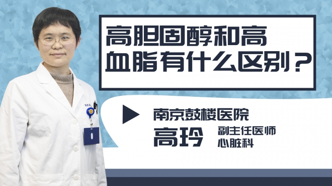 高膽固醇和高血脂有什么區別?